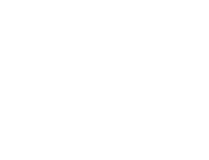 WSIP FM Logo_One Color - White